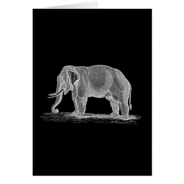 White Elephant Vintage 1800s Illustration (Front)
