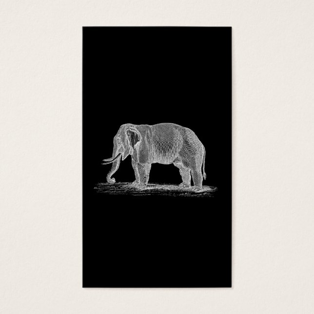 White Elephant Vintage 1800s Illustration (Front)