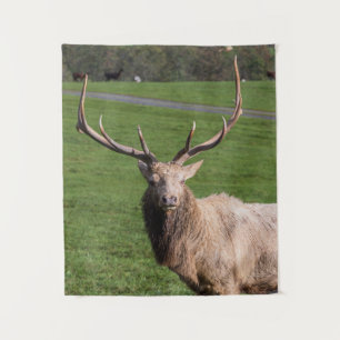 White Elk Tapestry