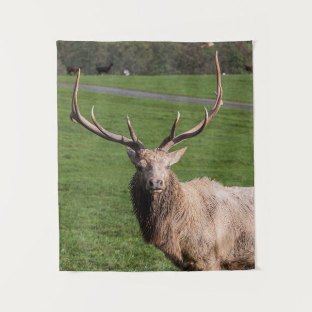 White Elk Tapestry (Front)