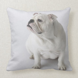 White English Bulldog Cushion