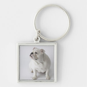 White English Bulldog Key Ring