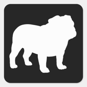 White English Bulldog Silhouette Square Sticker