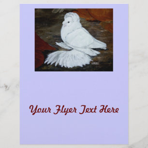 White English Trumpeter Pigeon Flyer