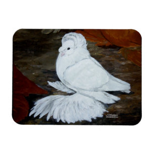 White English Trumpeter Pigeon Magnet