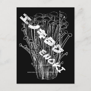 White Enoki Mushrooms Japanese Letters Fungus Food Postcard
