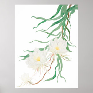 white epiphyllum flower watercolor  Poster