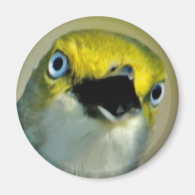 White-eyed Vireo Magnet (Front)