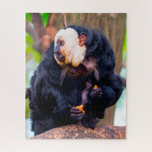 White Face Saki Monkey. Jigsaw Puzzle