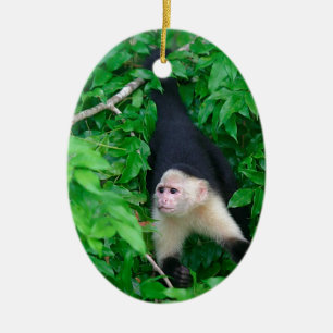 White faced capuchin monkey ceramic tree decoration