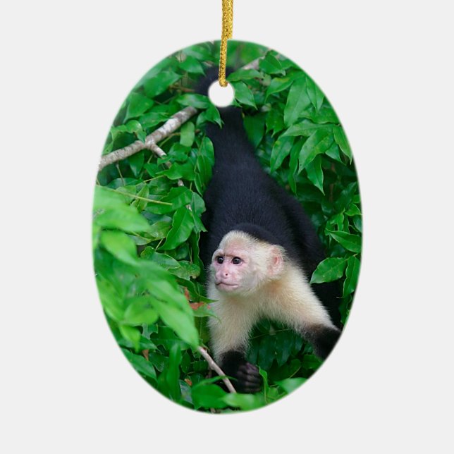 White faced capuchin monkey ceramic tree decoration (Front)