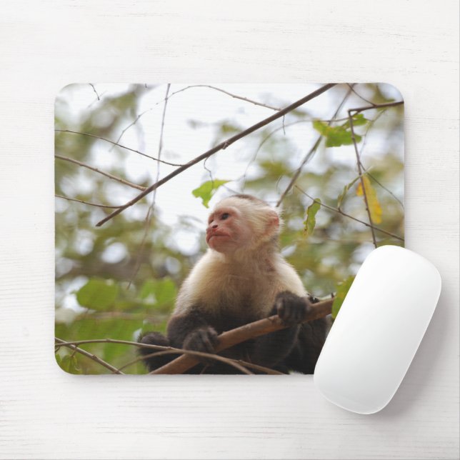 White Faced Capuchin, Wildlife Monkey Photography Mouse Pad (With Mouse)