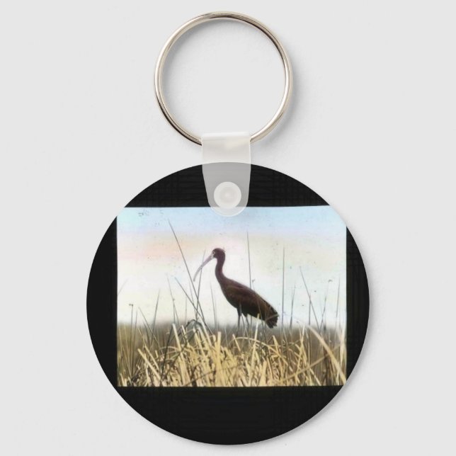White-faced Ibis Key Ring (Front)