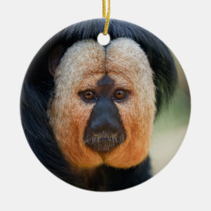 White-faced Saki Ceramic Tree Decoration
