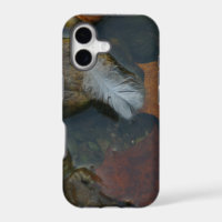White Feather
