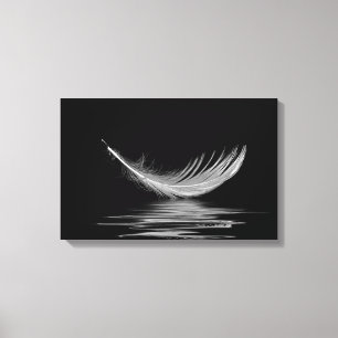 white feather floating on black water canvas print