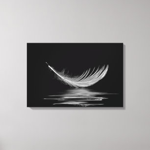 white feather floating on black water canvas print