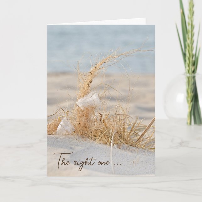 White Feather In Beach Grass Card (Front)
