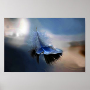 White feather sailing poster