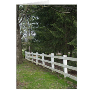 White Fence