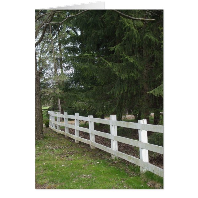 White Fence Blank Card (Front)