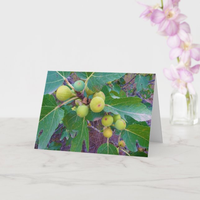 White Figs on Tree Card (Orchid)