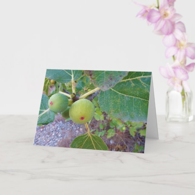 White Figs on Tree Card (Orchid)