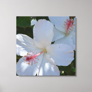 White Floral Frarance Wrapped Canvas