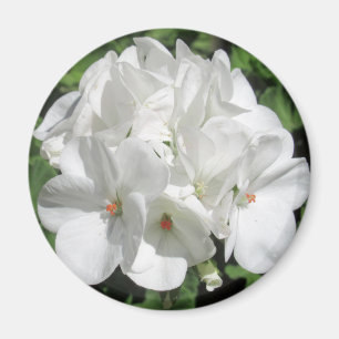 White Floral Photography  Magnet