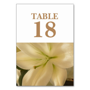 White Floral Wedding Table Cards