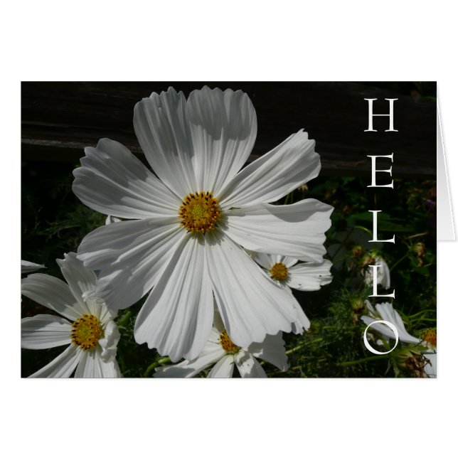 white flower (Front Horizontal)