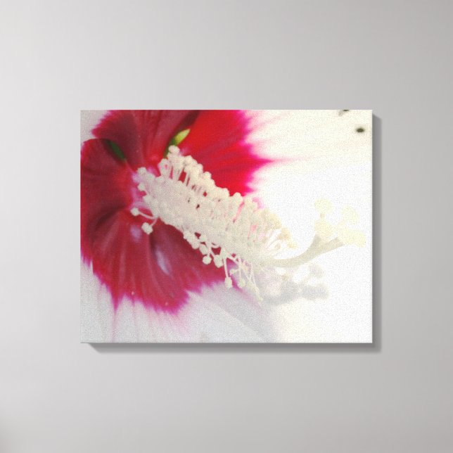 White Flower Blossom Photo Single Print (Front)