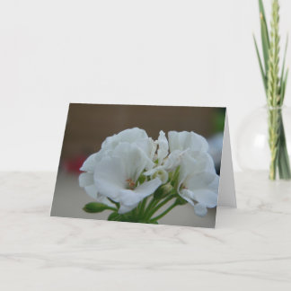 White flower card