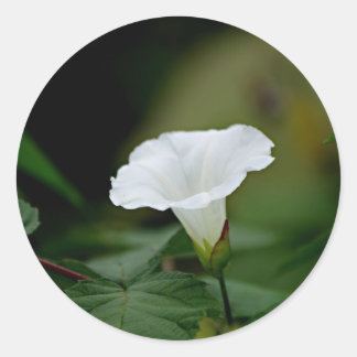White Flower Classic Round Sticker