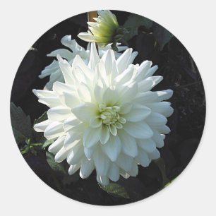 White Flower Classic Round Sticker