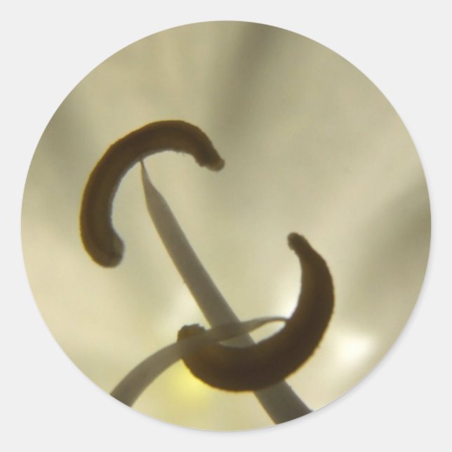 White Flower Details Sticker (Front)