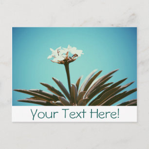 White Flower Green Plant Stylish Postcard