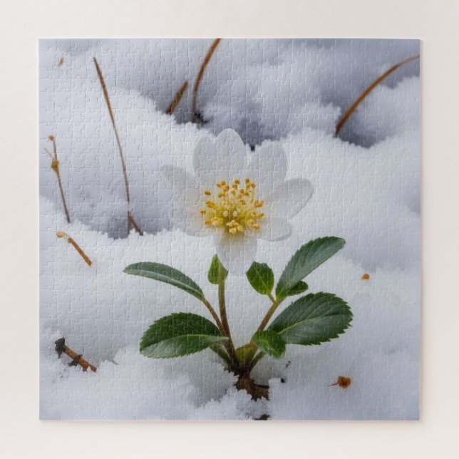 white flower jigsaw puzzle (Vertical)