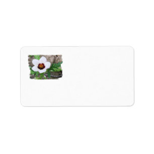 White Flower Label