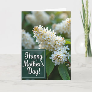 White Flower Mothers Day Card