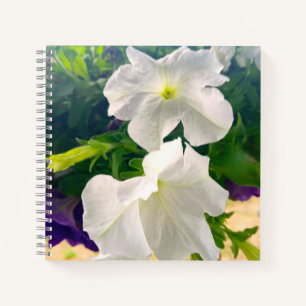 White Flower Photo Bible Verse God's Blessing Notebook