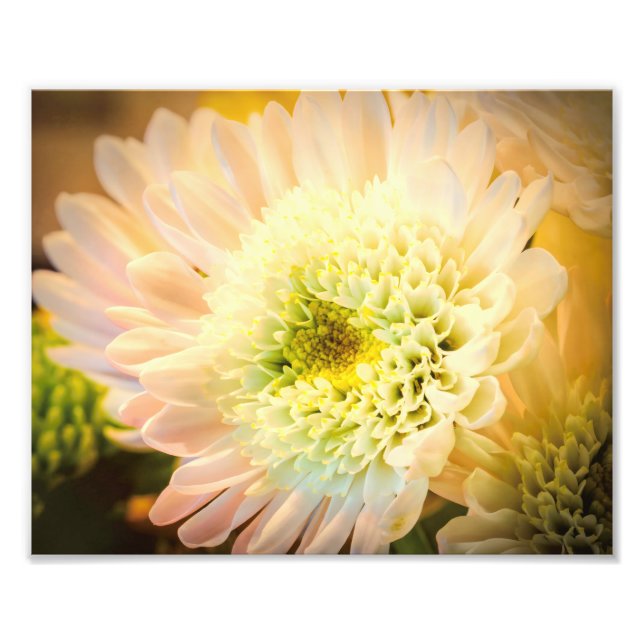 White Flower Photo Print (Front)