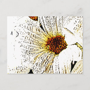 White flower postcard