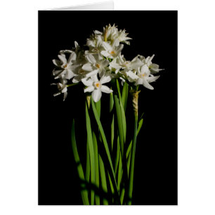 White Flower Spring Event And Wedding Card