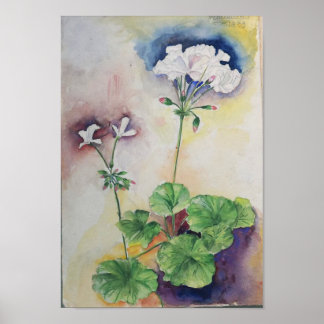 White Flower Watercolor – Botanical Wall Art Print
