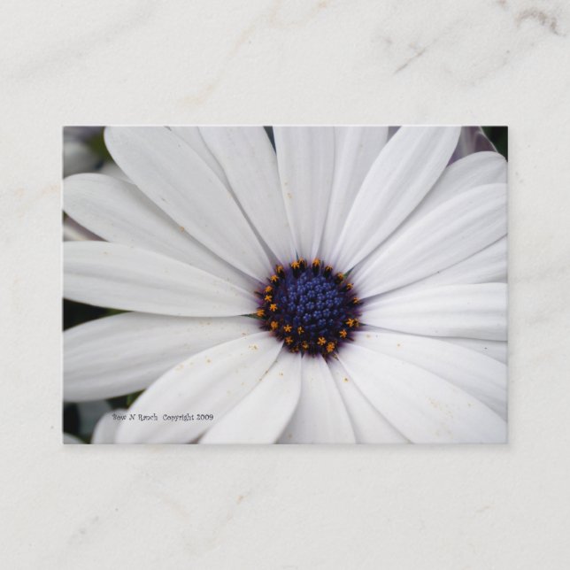 White Flower with Blue Centre Business Card (Front)