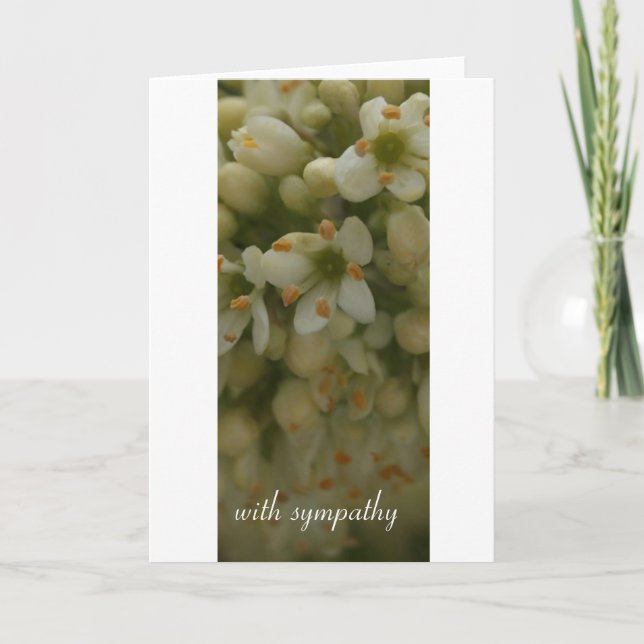 White Flower : with sympathy Card (Front)