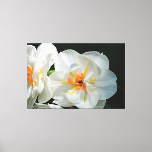 White Flowered Canvas Print