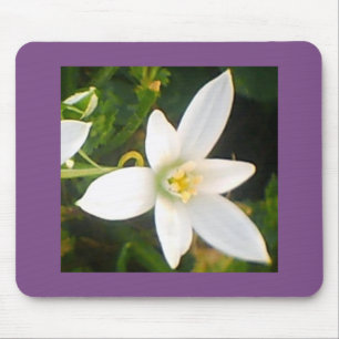White Flowering Bloom Mouse Pad