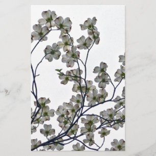 White Flowering Dogwood Stationery